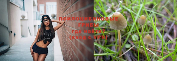 стафф Абинск