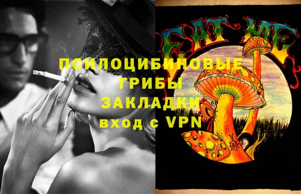 ПСИЛОЦИБИНОВЫЕ ГРИБЫ Абаза