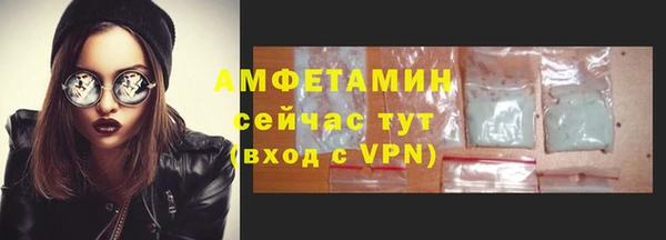 гидра Алексеевка
