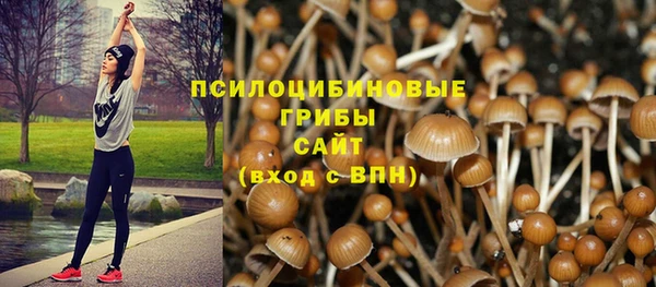 ПСИЛОЦИБИНОВЫЕ ГРИБЫ Абаза