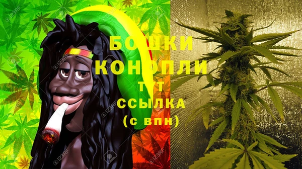 ПСИЛОЦИБИНОВЫЕ ГРИБЫ Абаза