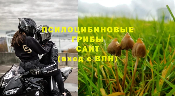 ПСИЛОЦИБИНОВЫЕ ГРИБЫ Абаза