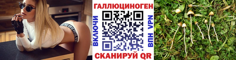 гидра ссылки  Астрахань  Псилоцибиновые грибы Magic Shrooms  наркота 